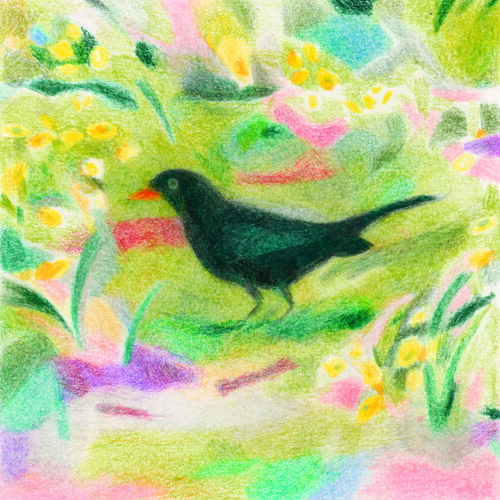 Un Merle by Line Hachem