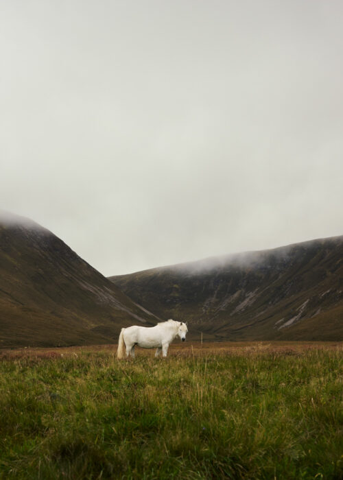 Solitude by Robin Skjoldborg