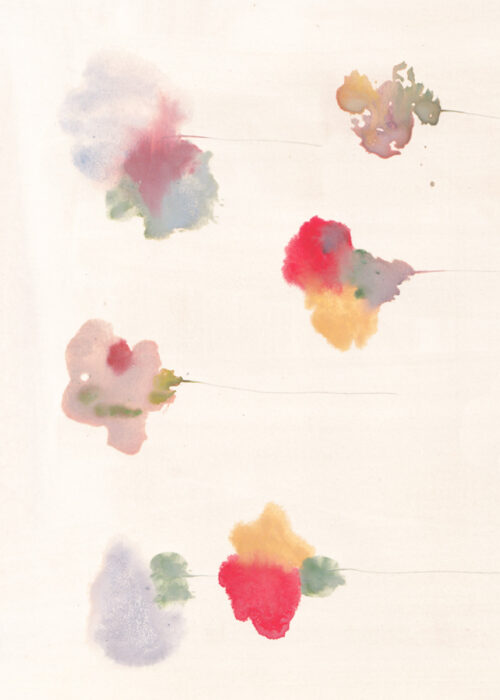 Sketch of Flowers 02 by Ana Frois